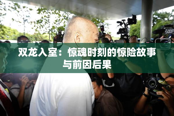 双龙入室：惊魂时刻的惊险故事与前因后果