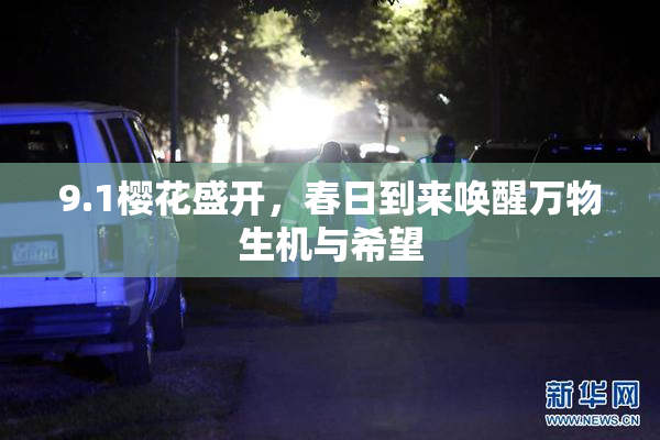 9.1樱花盛开，春日到来唤醒万物生机与希望