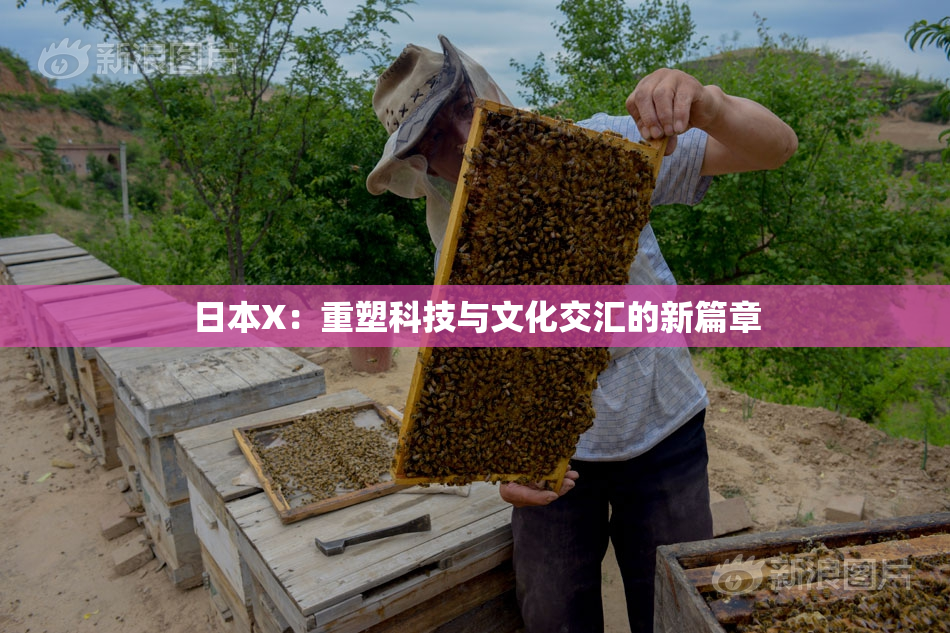 日本X：重塑科技与文化交汇的新篇章