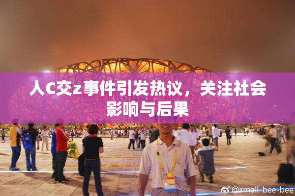人C交z事件引发热议，关注社会影响与后果