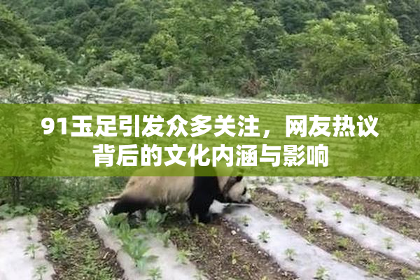 91玉足引发众多关注，网友热议背后的文化内涵与影响