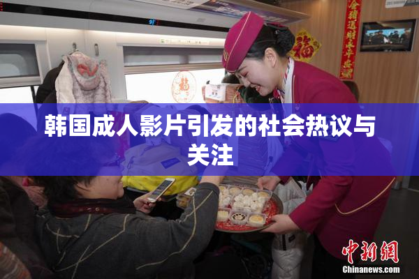 韩国成人影片引发的社会热议与关注