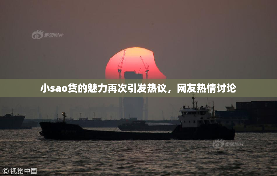 小sao货的魅力再次引发热议，网友热情讨论