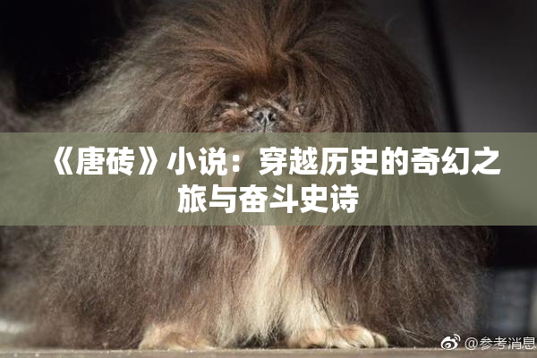 《唐砖》小说：穿越历史的奇幻之旅与奋斗史诗