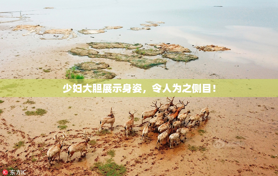 少妇大胆展示身姿，令人为之侧目！
