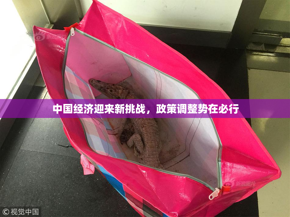 中国经济迎来新挑战，政策调整势在必行