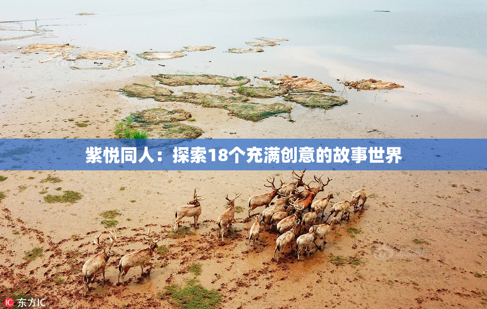 紫悦同人：探索18个充满创意的故事世界