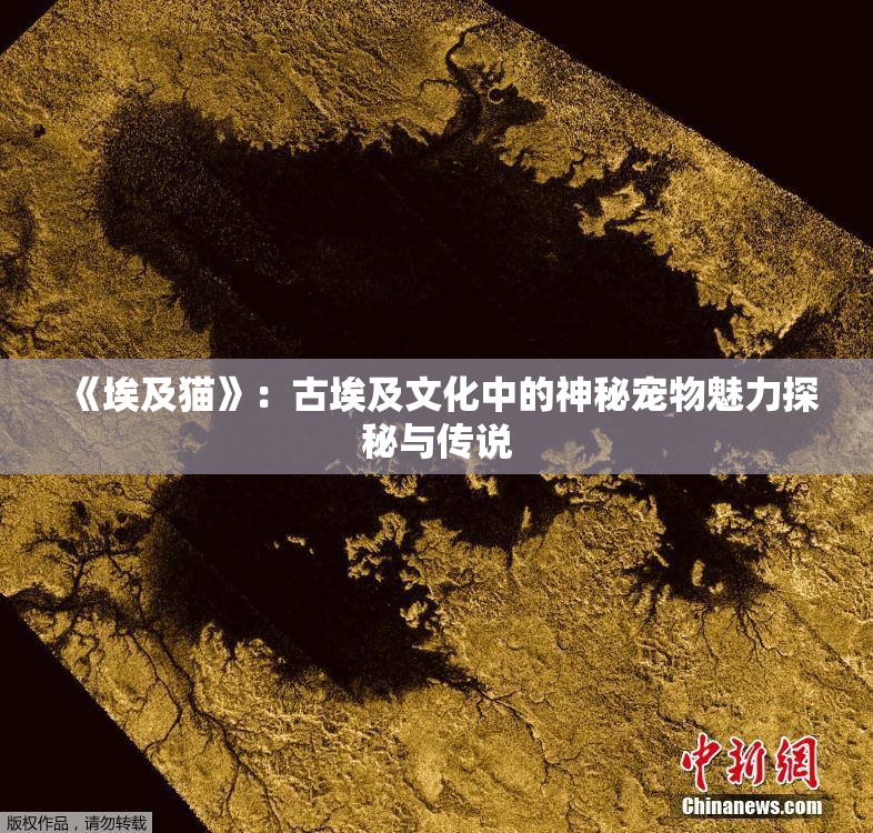 《埃及猫》：古埃及文化中的神秘宠物魅力探秘与传说