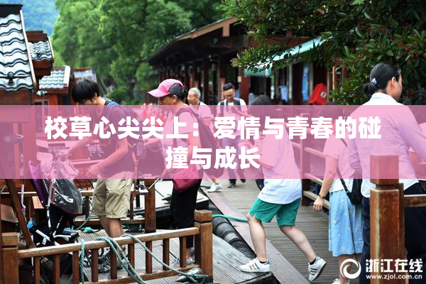 校草心尖尖上：爱情与青春的碰撞与成长