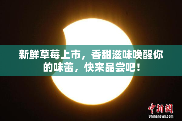 新鲜草莓上市，香甜滋味唤醒你的味蕾，快来品尝吧！