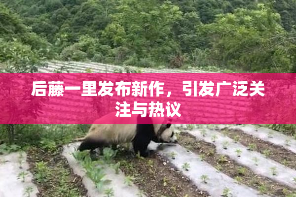 后藤一里发布新作，引发广泛关注与热议