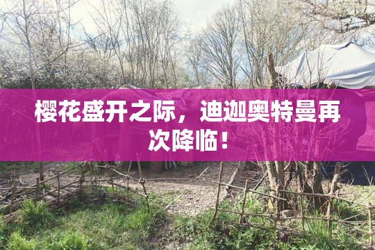 樱花盛开之际，迪迦奥特曼再次降临！