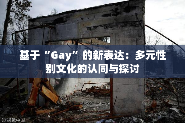 基于“Gay”的新表达：多元性别文化的认同与探讨