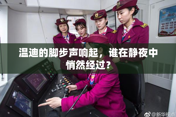 温迪的脚步声响起，谁在静夜中悄然经过？