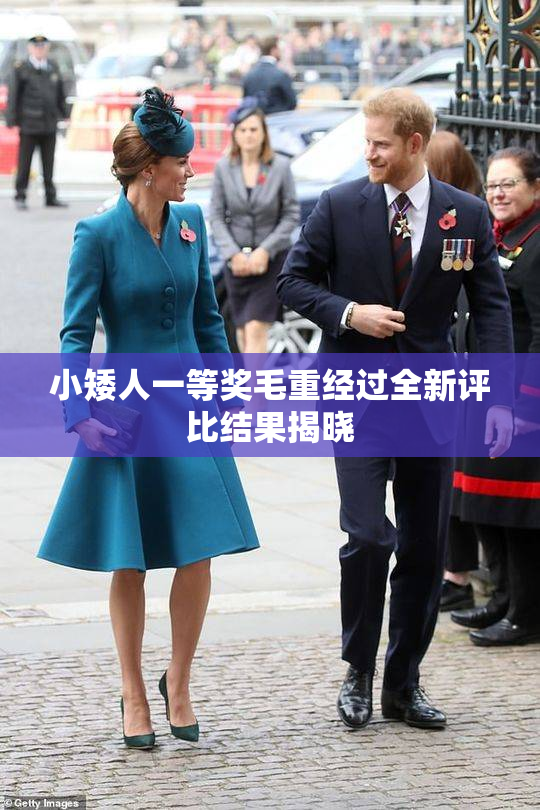 小矮人一等奖毛重经过全新评比结果揭晓