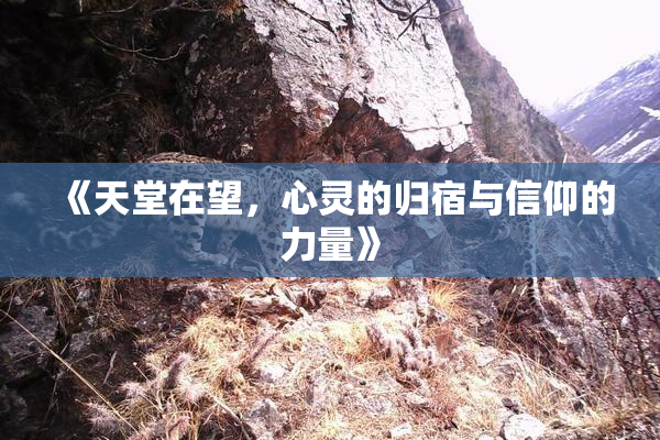 《天堂在望，心灵的归宿与信仰的力量》
