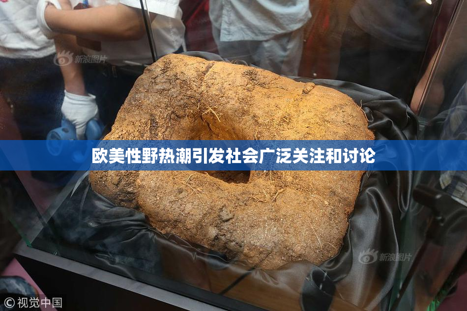 欧美性野热潮引发社会广泛关注和讨论