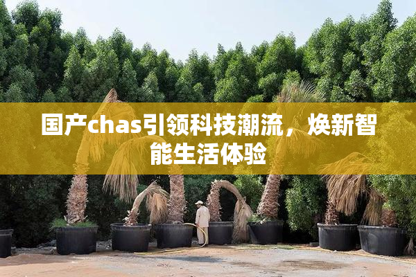 国产chas引领科技潮流，焕新智能生活体验