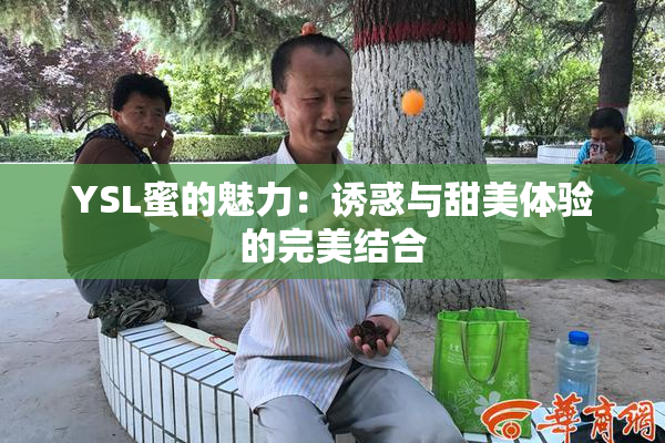 YSL蜜的魅力：诱惑与甜美体验的完美结合
