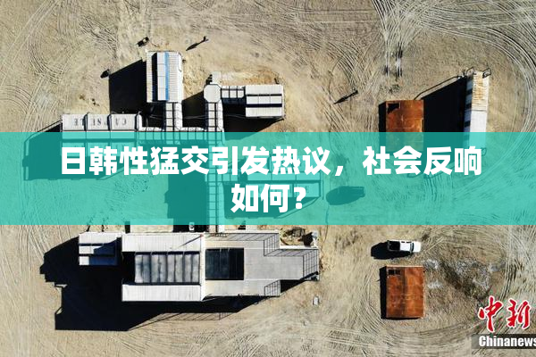 日韩性猛交引发热议，社会反响如何？