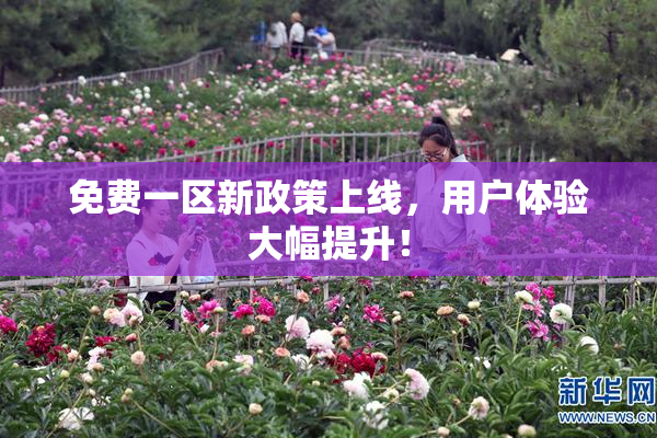 免费一区新政策上线，用户体验大幅提升！