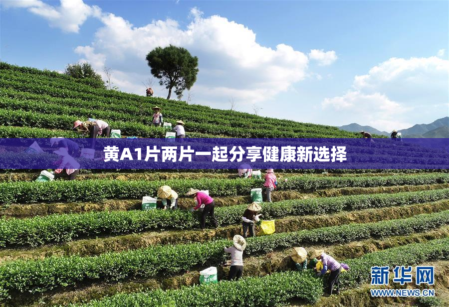 黄A1片两片一起分享健康新选择