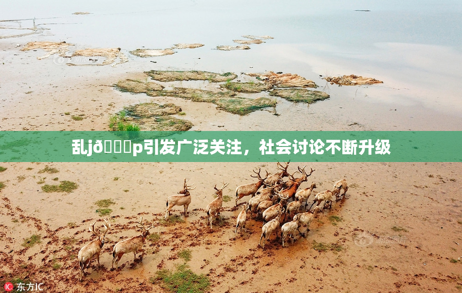 乱j🈚p引发广泛关注，社会讨论不断升级