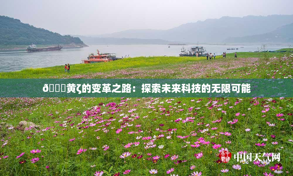🔞黄ζ的变革之路：探索未来科技的无限可能
