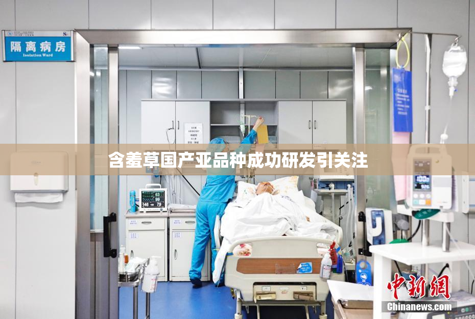 含羞草国产亚品种成功研发引关注