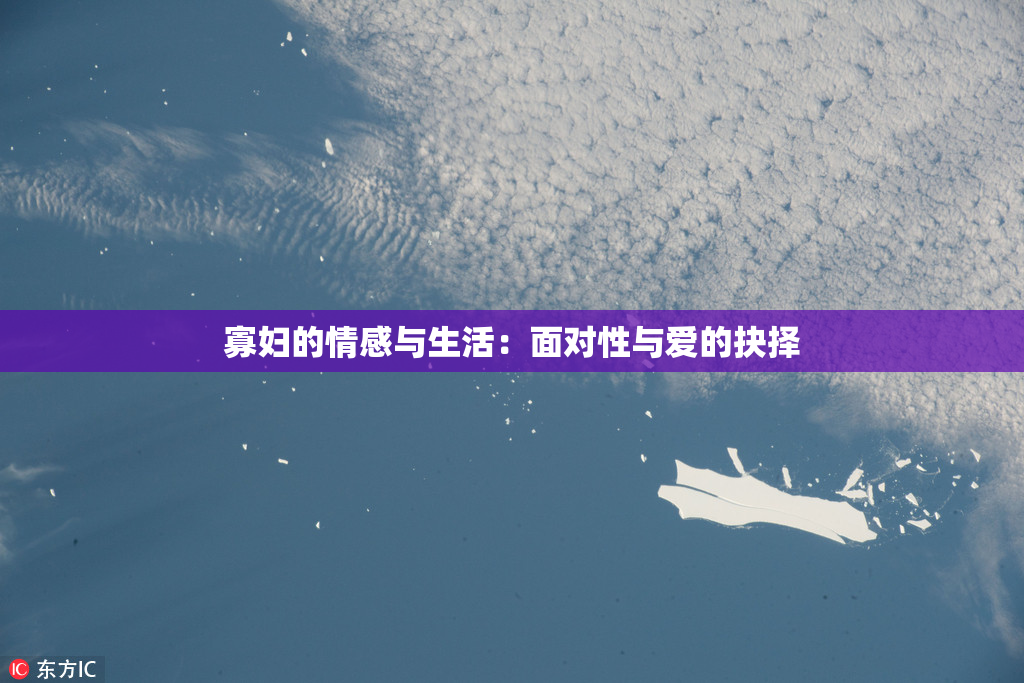 寡妇的情感与生活：面对性与爱的抉择