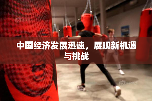 中国经济发展迅速，展现新机遇与挑战