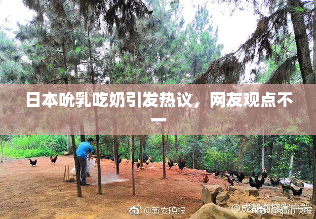 日本吮乳吃奶引发热议，网友观点不一