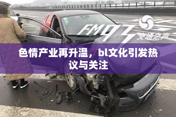 色情产业再升温，bl文化引发热议与关注