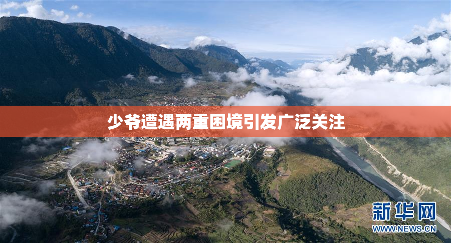 少爷遭遇两重困境引发广泛关注