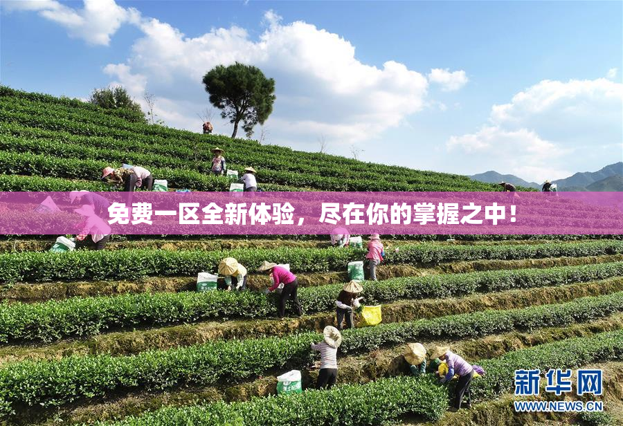 免费一区全新体验，尽在你的掌握之中！