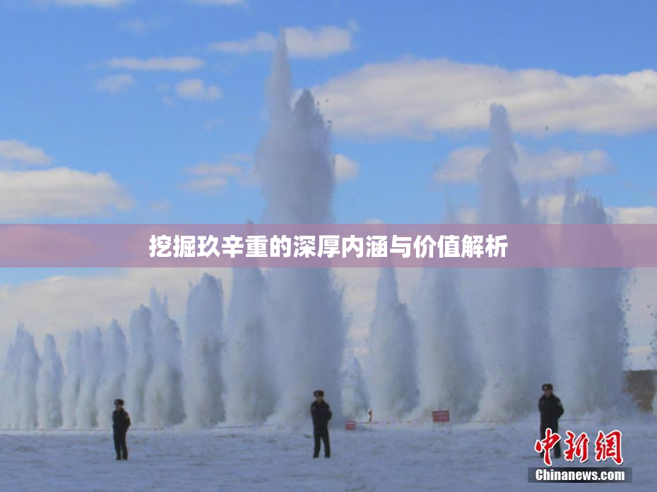 挖掘玖辛重的深厚内涵与价值解析