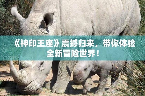《神印王座》震撼归来，带你体验全新冒险世界！