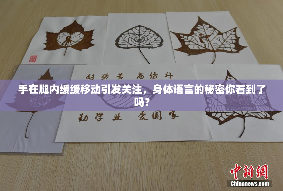手在腿内缓缓移动引发关注，身体语言的秘密你看到了吗？