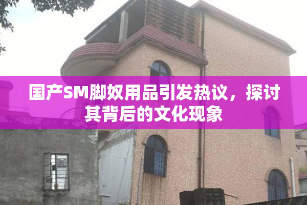 国产SM脚奴用品引发热议，探讨其背后的文化现象