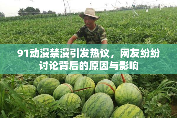 91动漫禁漫引发热议，网友纷纷讨论背后的原因与影响