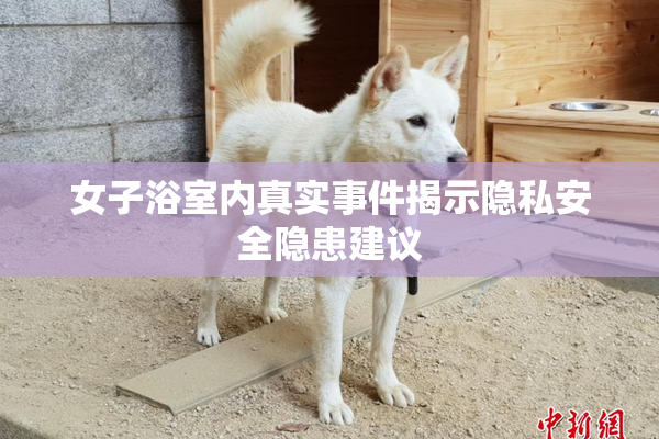 女子浴室内真实事件揭示隐私安全隐患建议