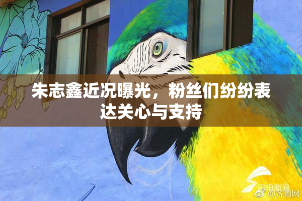 朱志鑫近况曝光，粉丝们纷纷表达关心与支持