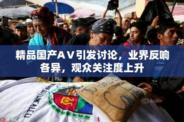 精品国产AⅤ引发讨论，业界反响各异，观众关注度上升