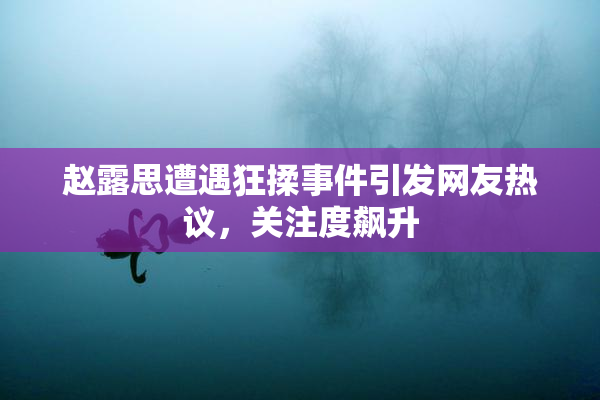 赵露思遭遇狂揉事件引发网友热议，关注度飙升