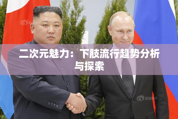 二次元魅力：下肢流行趋势分析与探索