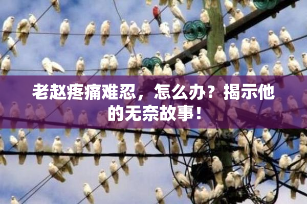 老赵疼痛难忍，怎么办？揭示他的无奈故事！