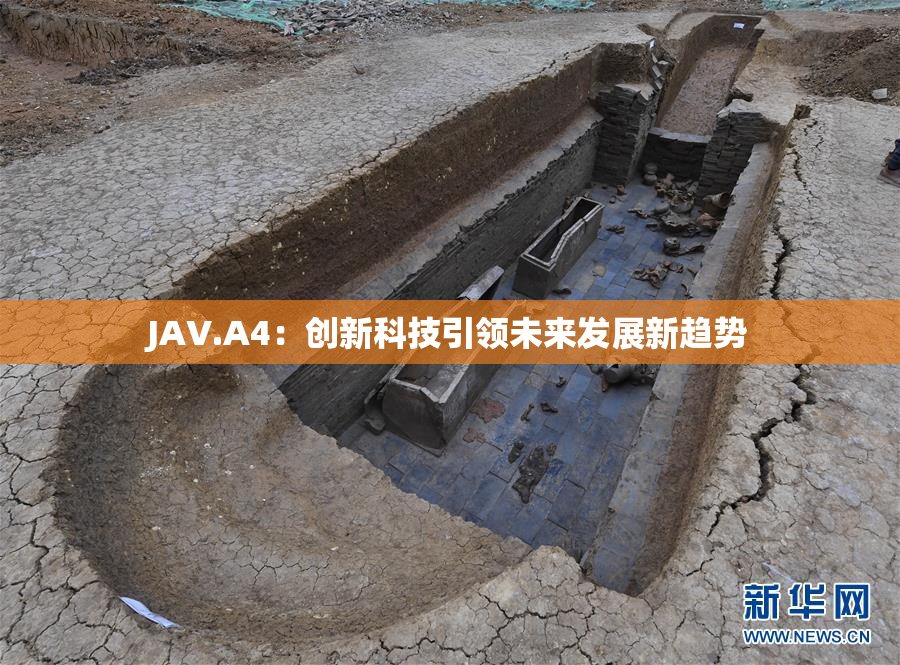 JAV.A4：创新科技引领未来发展新趋势