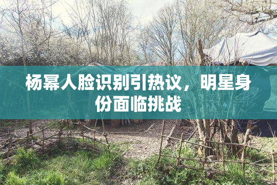 杨幂人脸识别引热议，明星身份面临挑战