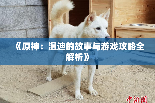 《原神：温迪的故事与游戏攻略全解析》