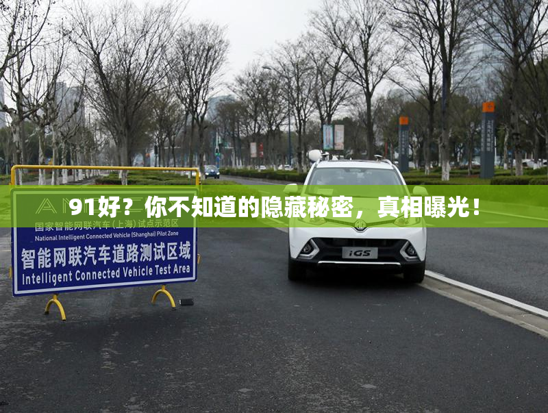 91好？你不知道的隐藏秘密，真相曝光！